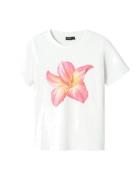 LMTD Nlftropic Ss Short S Top Vit
