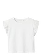 Name It Nmfhrejaine Capsl Short Nreg Top Pb Vit