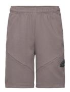 Adidas Performance U Fi Logo Sh Brun