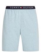 Tommy Hilfiger Jersey Short Blå