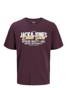 Jack & J S Jjelogo Tee Ss O-Neck 2 Col Aw25 Sn Röd