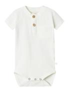 Lil'Atelier Nbmdolan Joe Ss Body Lil Vit