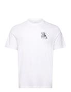 Calvin Klein Ss 30S Eu Sp Ck Abstract Graphic Vit