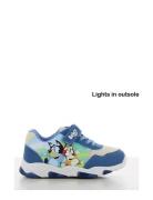 Bluey Bluey Sneakers Blå