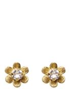Caroline Svedbom Juni Stud Earrings Gold Guld