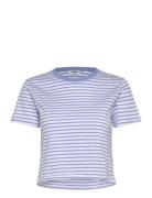 Monki Cropped Printed Cotton T-Shirt Blå