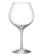 Orrefors More Pinot Vinglas 60Cl 2-Pack Vit
