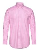 Polo Ralph Lauren Custom Fit Striped Stretch Oxford Shirt Rosa