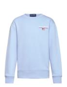 Ralph Lauren Kids Graphic Fleece-Ls Cn-Kn-Sws Blå