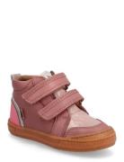 Bisgaard Bisgaard Cuba Tex Rosa