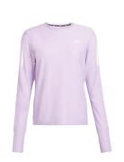 Adidas Performance Otr B Ls Rosa