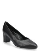 Gabor Pumps Svart
