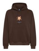 Quiksilver Standard Hoodie Brun