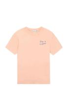 Maison Labiche Paris Bainville Eloge Politess /Gots Rosa