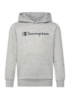 Champion Hooded Sweatshirt Grå