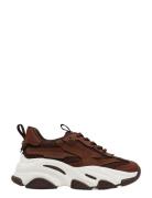 Steve Madden Possession-E Brun