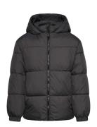Mango Hood Puffer Coat Svart