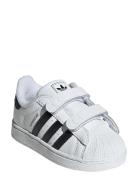 Adidas Originals Superstar Ii Cf I Vit
