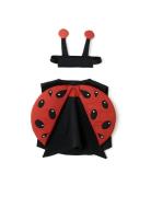 Kid's Concept Ladybug Dress-Up Röd