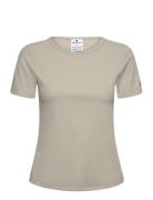 Champion Crewneck Top Beige