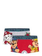 Paw Patrol Boxer Multi/patterned