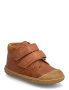 ANGULUS Booties - Flat - With Velcro Brun
