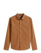 Tommy Jeans Tjm Original Stretch Shirt Brun