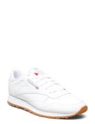 Reebok Classics Classic Leather Vit