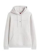 Tommy Jeans Tjm Reg Linear Logo Hoodie Ext Grå