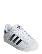 Adidas Originals Superstar Ii C Vit