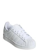 Adidas Originals Superstar Ii J Vit