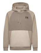 Under Armour Ua Icon Hw Colorblocked Hdy Beige