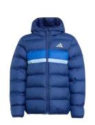 Adidas Sportswear J Sd Jkt Blå