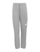 Adidas Sportswear J Bl Ft Pt 280 Grå