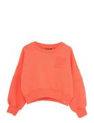 Indian Blue Jeans Sweater Bright Korall