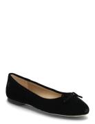 Lauren Ralph Lauren Jayna Iii Velvet Flat Svart