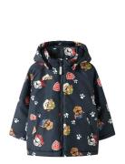Name It Nmmmax Pawpatrol Jacket Cplg Marinblå