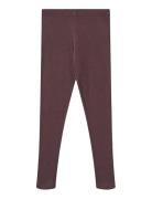 Wheat Rib Leggings Maddy Burgundy