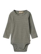 Wheat Body L/S Berti Multi/patterned