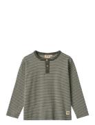 Wheat T-Shirt L/S Morris Khaki Green