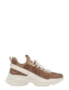 Steve Madden Maxima-R Beige