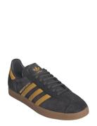 Adidas Performance Gazelle Svart