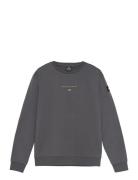 Indian Blue Jeans T-Shirt Longsleeve Limitless Grå