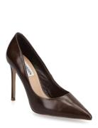 Steve Madden Thrive Brun
