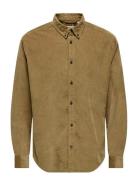 ONLY & SONS Onsmichael 18W Reg Cord Stretch Ls Noos Beige