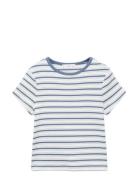Mango Striped T-Shirt With Contrasting Collar Vit