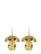 Caroline Svedbom Petite Timo Earrings Gold Guld