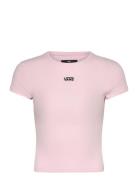 VANS Cameron Tee Rosa