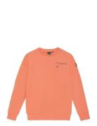 Indian Blue Jeans Sweater Chest Print Brushed Orange