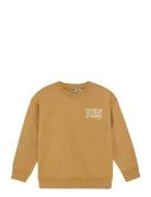Daily 7 Over D Sweater Backprint Orange